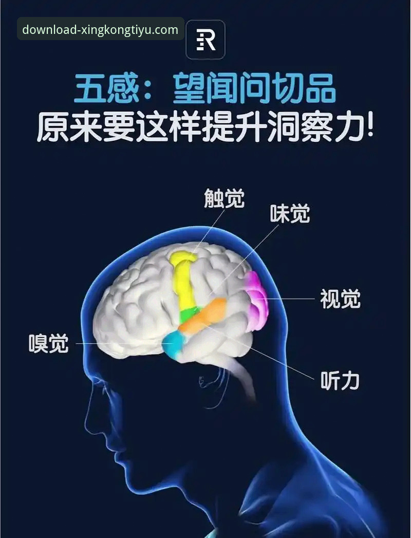 实时体育动态 5个关键洞察:如何利用星空体育官方平台精准捕捉实时体育动态